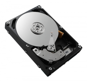 0933543-04 Dell EQL 450GB 15K 3.5 SAS  in the group Storage / DELL / Hard drives at Azalea IT / Reuse IT (0933543-04_REF)