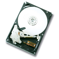 0A35772 Dell EQL 1TB 7.2K 3G 3.5 SATA in the group Storage / DELL / Hard drives at Azalea IT / Reuse IT (0A35772_REF)