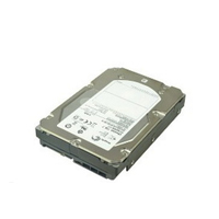 ST3600057SS Dell EQL 600GB 15K 3.5 SAS in the group Storage / DELL / Hard drives at Azalea IT / Reuse IT (ST3600057SS_REF)